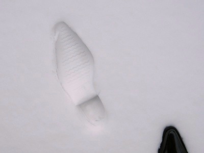image Tätzli im Schnee